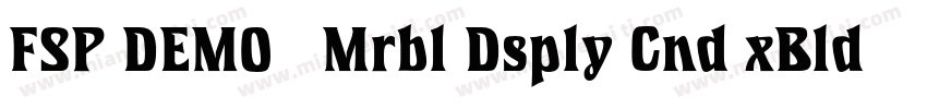 FSP DEMO   Mrbl Dsply Cnd xBld字体转换